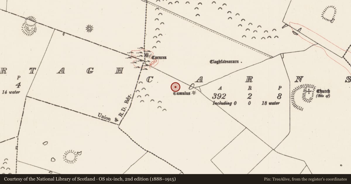 Ordnance Survey six-inch map, 2nd edition (1888–1915) covering the location of Barrow - ditch barrow, Carns, County Roscommon, with a pin at the register's coordinates