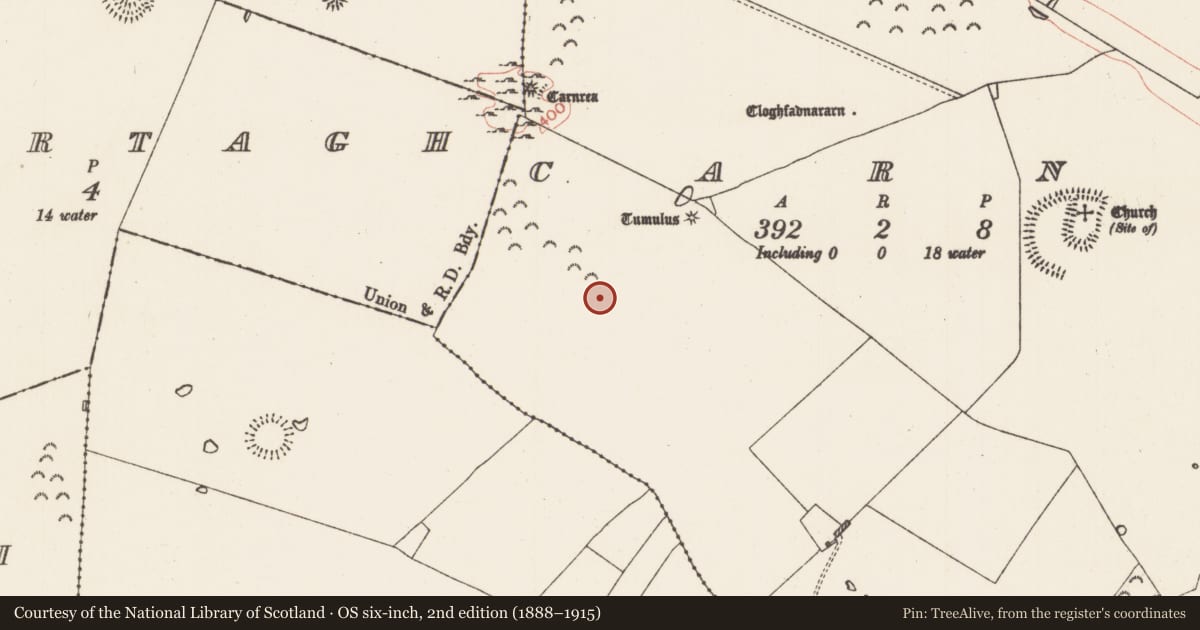 Ordnance Survey six-inch map, 2nd edition (1888–1915) covering the location of Enclosure, Carns, County Roscommon, with a pin at the register's coordinates
