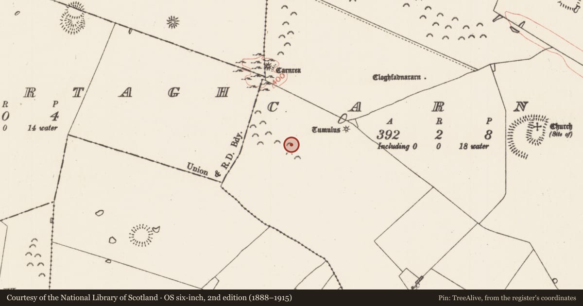 Ordnance Survey six-inch map, 2nd edition (1888–1915) covering the location of House - indeterminate date, Carns, County Roscommon, with a pin at the register's coordinates