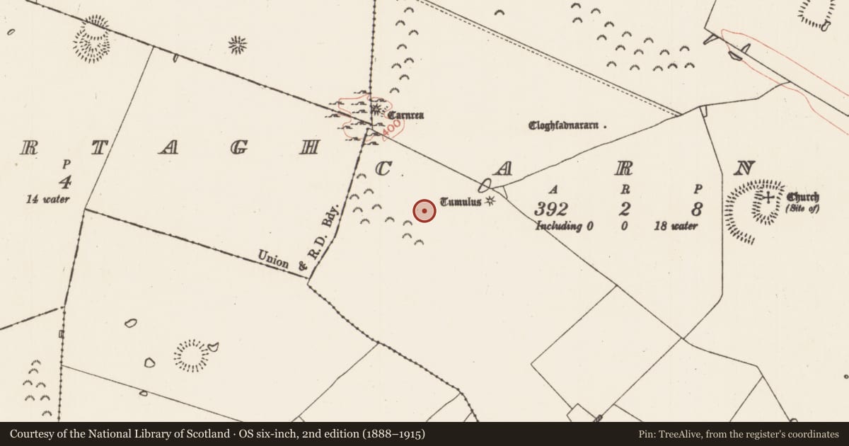 Ordnance Survey six-inch map, 2nd edition (1888–1915) covering the location of Enclosure, Carns, County Roscommon, with a pin at the register's coordinates
