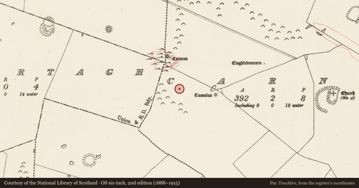 Ordnance Survey six-inch map, 2nd edition (1888–1915) covering the location of Enclosure, Carns, County Roscommon, with a pin at the register's coordinates
