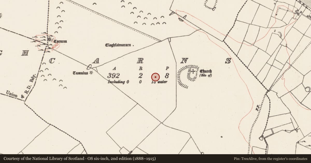 Ordnance Survey six-inch map, 2nd edition (1888–1915) covering the location of Settlement cluster, Carns, County Roscommon, with a pin at the register's coordinates