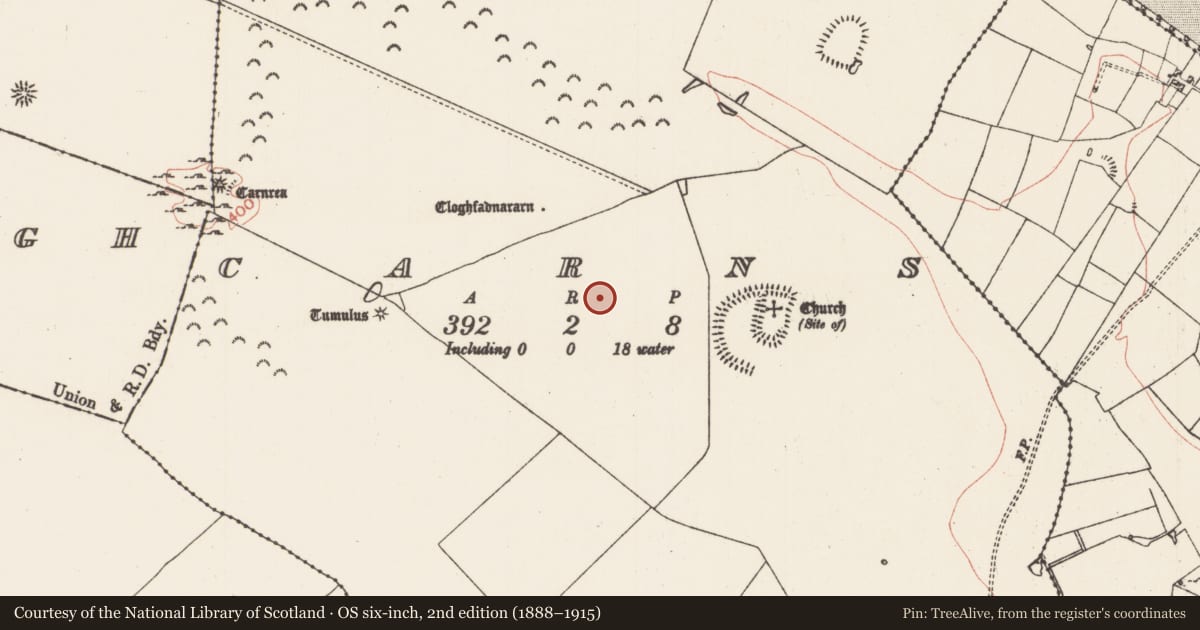 Ordnance Survey six-inch map, 2nd edition (1888–1915) covering the location of House - indeterminate date, Carns, County Roscommon, with a pin at the register's coordinates