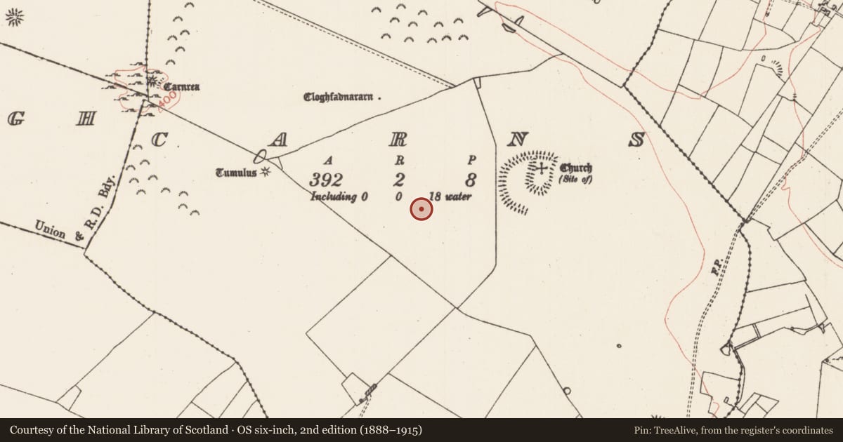 Ordnance Survey six-inch map, 2nd edition (1888–1915) covering the location of House - indeterminate date, Carns, County Roscommon, with a pin at the register's coordinates