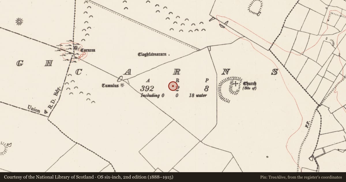 Ordnance Survey six-inch map, 2nd edition (1888–1915) covering the location of House - indeterminate date, Carns, County Roscommon, with a pin at the register's coordinates
