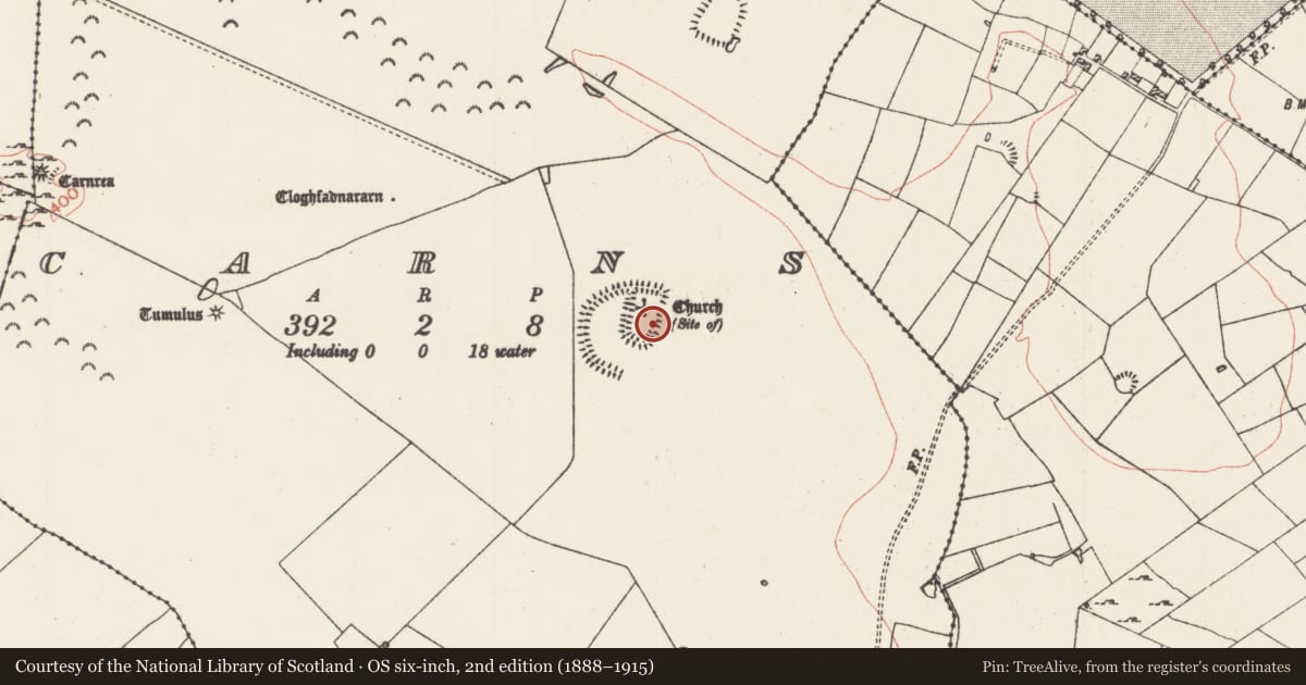 Ordnance Survey six-inch map, 2nd edition (1888–1915) covering the location of Building, Carns, County Roscommon, with a pin at the register's coordinates