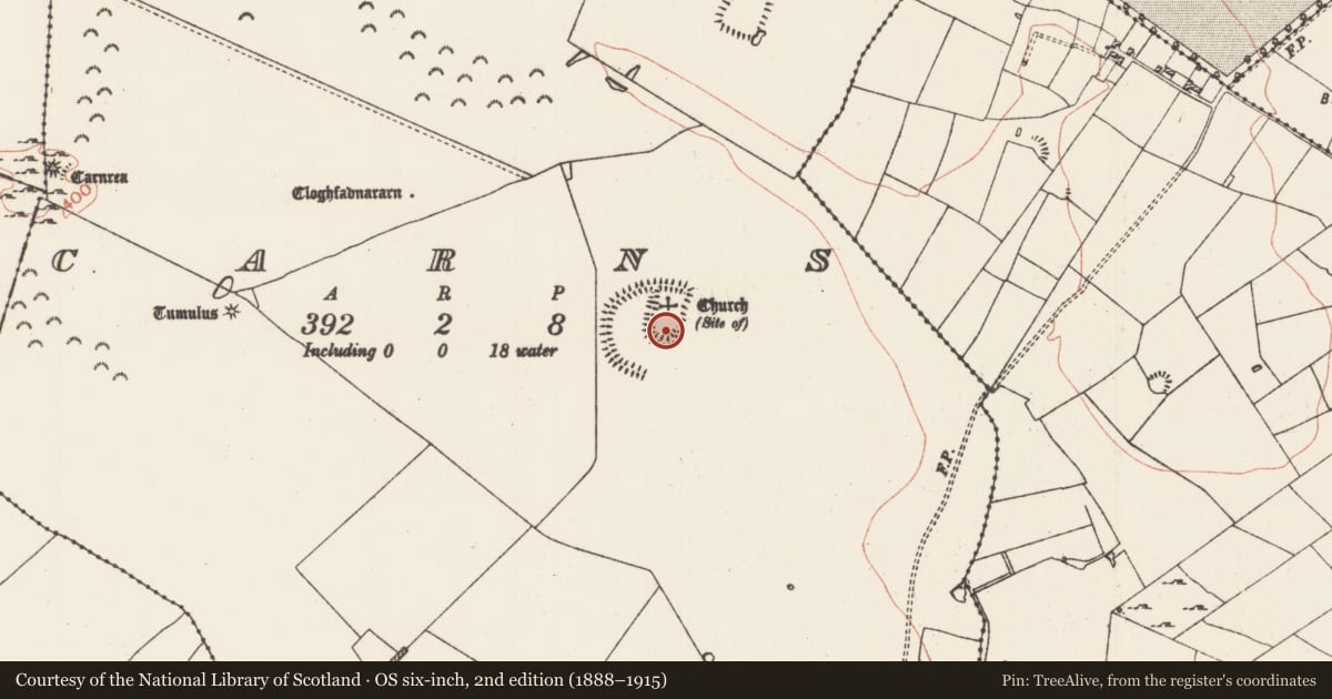 Ordnance Survey six-inch map, 2nd edition (1888–1915) covering the location of Enclosure, Carns, County Roscommon, with a pin at the register's coordinates
