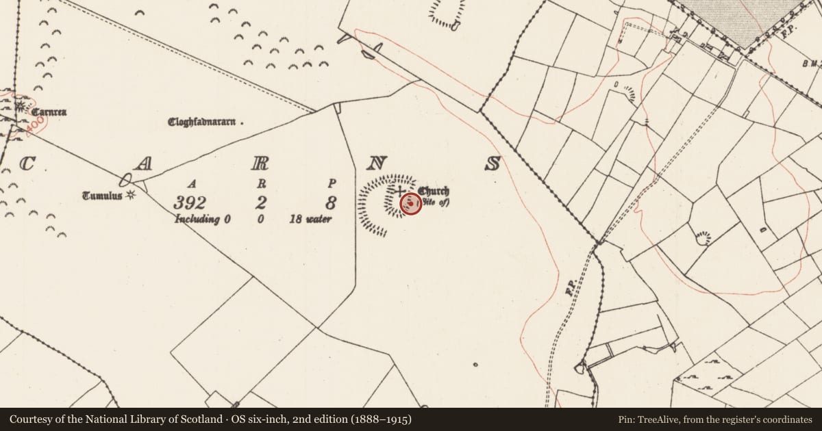 Ordnance Survey six-inch map, 2nd edition (1888–1915) covering the location of Church, Carns, County Roscommon, with a pin at the register's coordinates