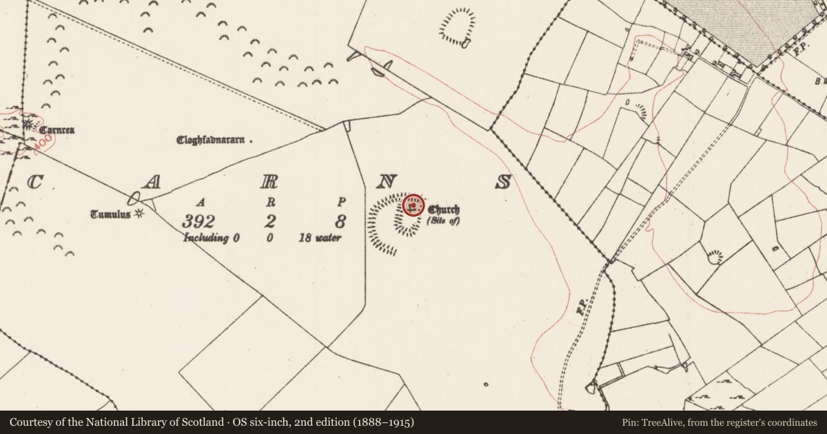 Ordnance Survey six-inch map, 2nd edition (1888–1915) covering the location of Enclosure, Carns, County Roscommon, with a pin at the register's coordinates