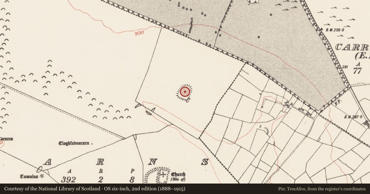 Ordnance Survey six-inch map, 2nd edition (1888–1915) covering the location of Enclosure, Carns, County Roscommon, with a pin at the register's coordinates