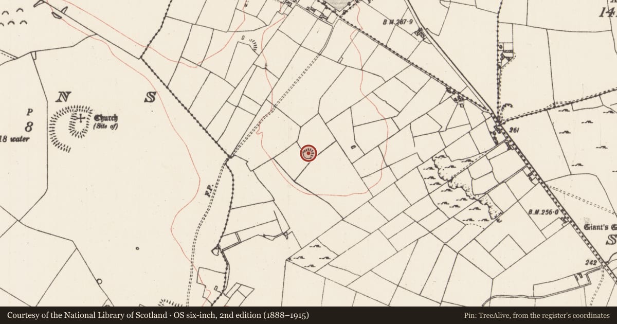 Ordnance Survey six-inch map, 2nd edition (1888–1915) covering the location of Barrow - pond barrow, Manor, County Roscommon, with a pin at the register's coordinates