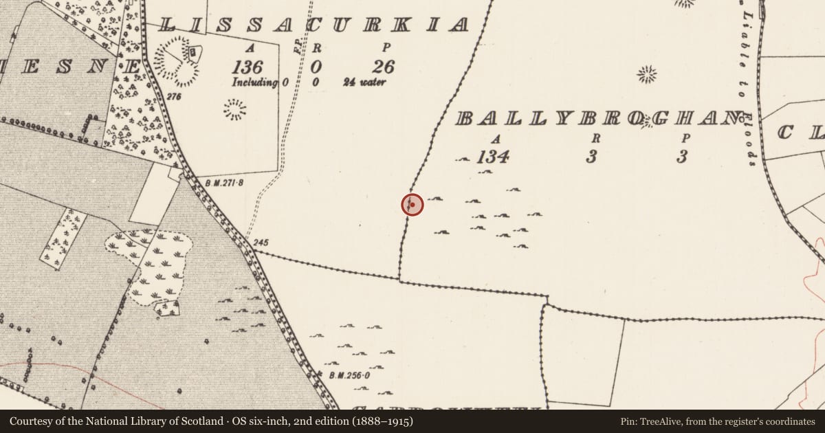 Ordnance Survey six-inch map, 2nd edition (1888–1915) covering the location of Field system, County Roscommon, with a pin at the register's coordinates