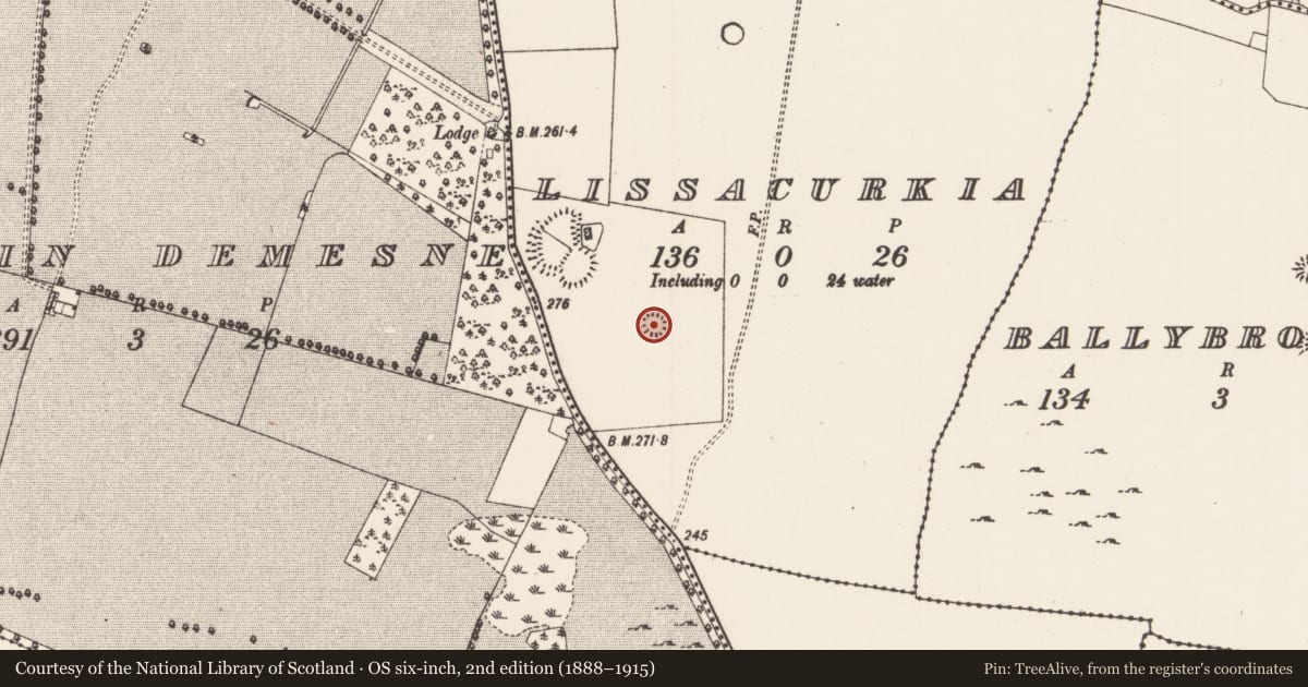 Ordnance Survey six-inch map, 2nd edition (1888–1915) covering the location of Ringfort - rath, Lissacurkia, County Roscommon, with a pin at the register's coordinates