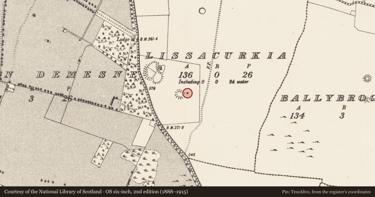 Ordnance Survey six-inch map, 2nd edition (1888–1915) covering the location of Ringfort - rath, Lissacurkia, County Roscommon, with a pin at the register's coordinates