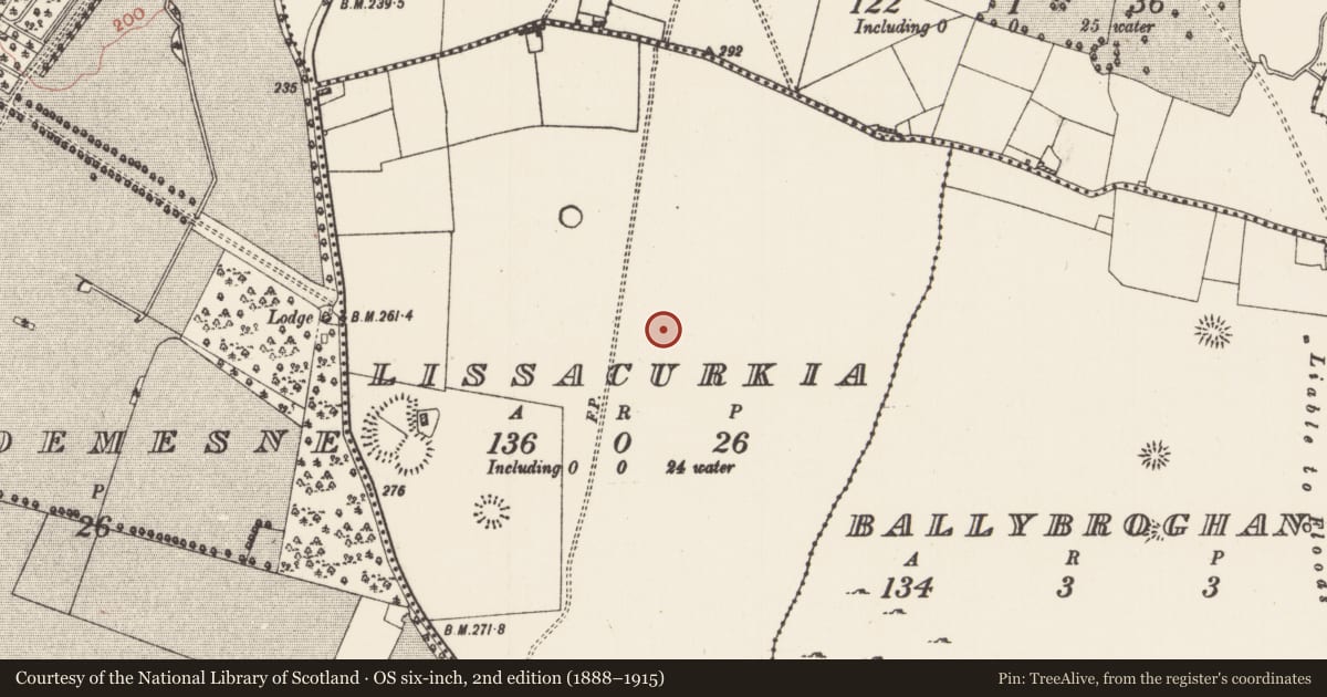 Ordnance Survey six-inch map, 2nd edition (1888–1915) covering the location of Ringfort - cashel, Lissacurkia, County Roscommon, with a pin at the register's coordinates