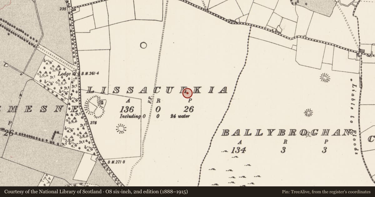 Ordnance Survey six-inch map, 2nd edition (1888–1915) covering the location of Moated site, Lissacurkia, County Roscommon, with a pin at the register's coordinates