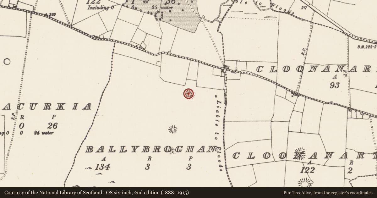 Ordnance Survey six-inch map, 2nd edition (1888–1915) covering the location of Earthwork, Ballybroghan, County Roscommon, with a pin at the register's coordinates