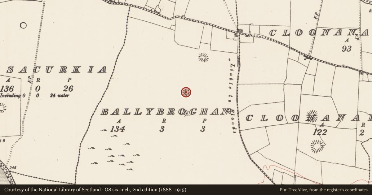 Ordnance Survey six-inch map, 2nd edition (1888–1915) covering the location of Earthwork, Ballybroghan, County Roscommon, with a pin at the register's coordinates