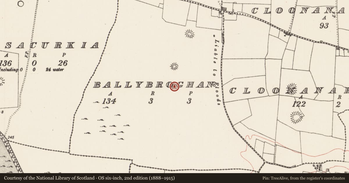 Ordnance Survey six-inch map, 2nd edition (1888–1915) covering the location of Earthwork, Ballybroghan, County Roscommon, with a pin at the register's coordinates