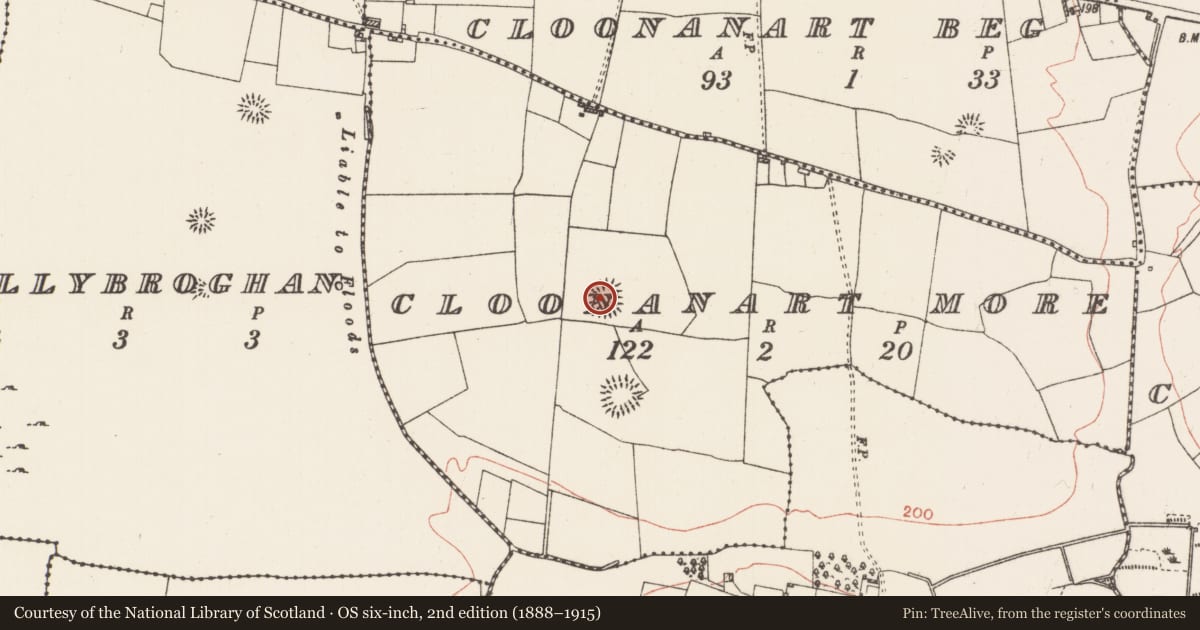 Ordnance Survey six-inch map, 2nd edition (1888–1915) covering the location of Ringfort - rath, Cloonanart More, County Roscommon, with a pin at the register's coordinates