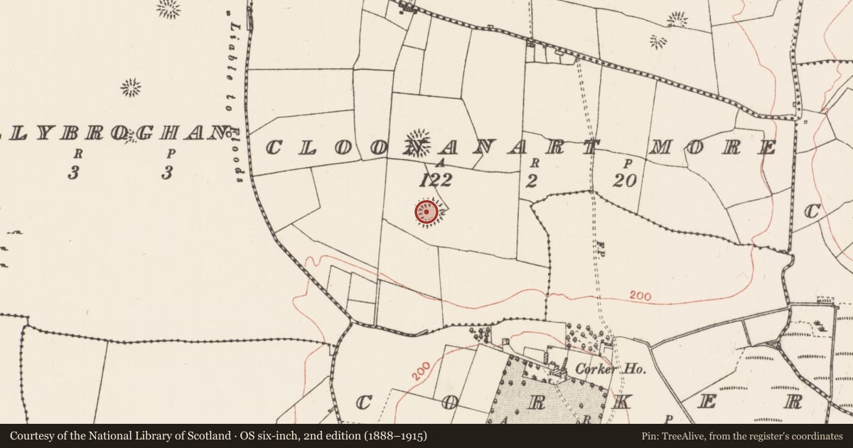 Ordnance Survey six-inch map, 2nd edition (1888–1915) covering the location of Ringfort - rath, Cloonanart More, County Roscommon, with a pin at the register's coordinates