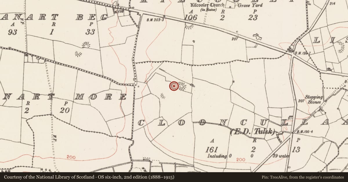 Ordnance Survey six-inch map, 2nd edition (1888–1915) covering the location of Ringfort - rath, Clooncullaan, County Roscommon, with a pin at the register's coordinates