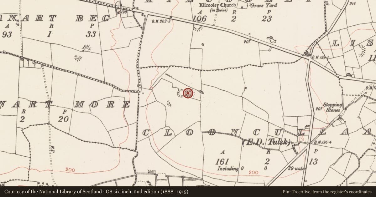 Ordnance Survey six-inch map, 2nd edition (1888–1915) covering the location of Ringfort - rath, Clooncullaan, County Roscommon, with a pin at the register's coordinates