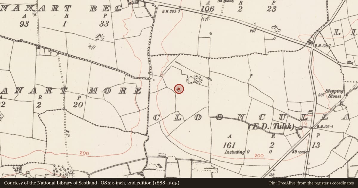 Ordnance Survey six-inch map, 2nd edition (1888–1915) covering the location of Ringfort - rath, Clooncullaan, County Roscommon, with a pin at the register's coordinates