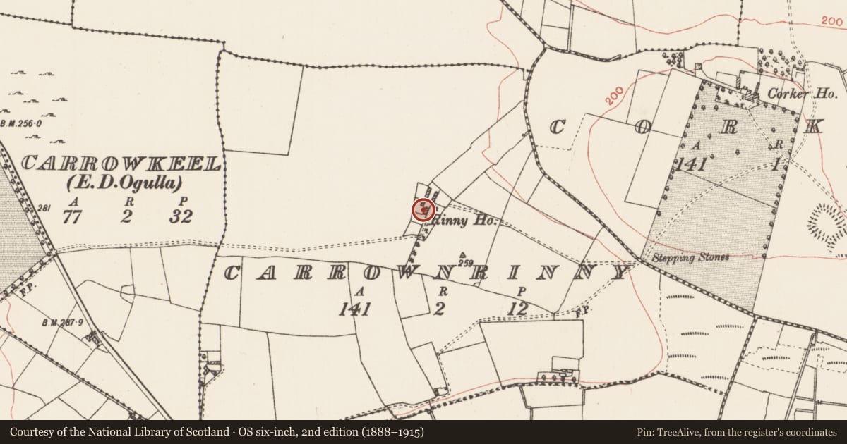 Ordnance Survey six-inch map, 2nd edition (1888–1915) covering the location of House - 18th/19th century, Carrownrinny, County Roscommon, with a pin at the register's coordinates