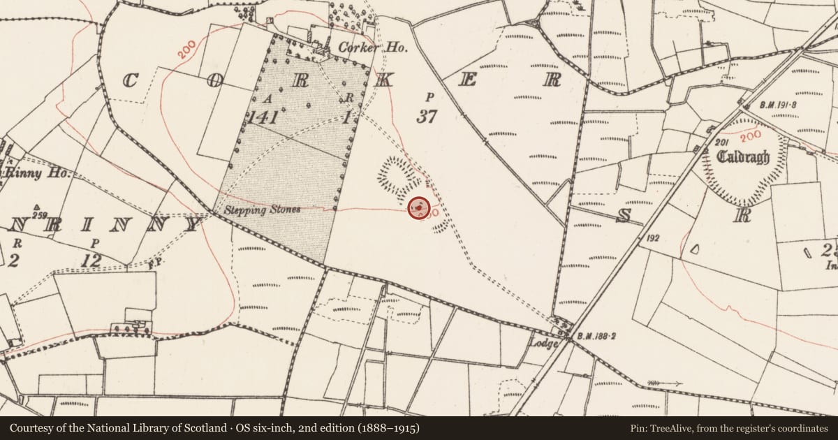 Ordnance Survey six-inch map, 2nd edition (1888–1915) covering the location of Concentric enclosure, Corker, County Roscommon, with a pin at the register's coordinates