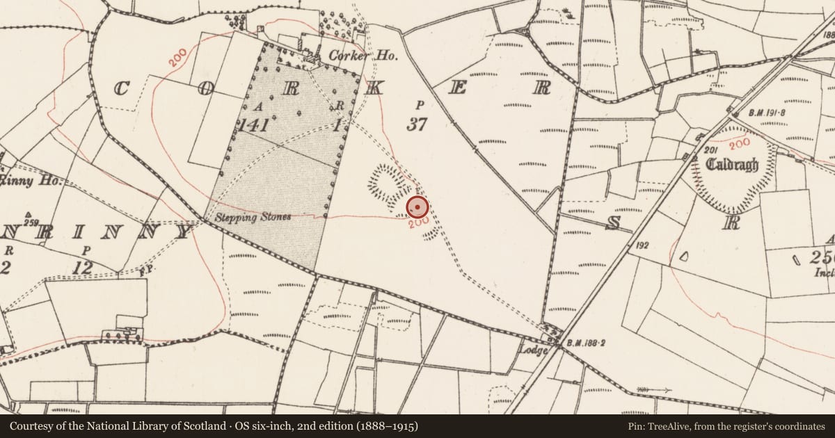 Ordnance Survey six-inch map, 2nd edition (1888–1915) covering the location of Enclosure, Corker, County Roscommon, with a pin at the register's coordinates