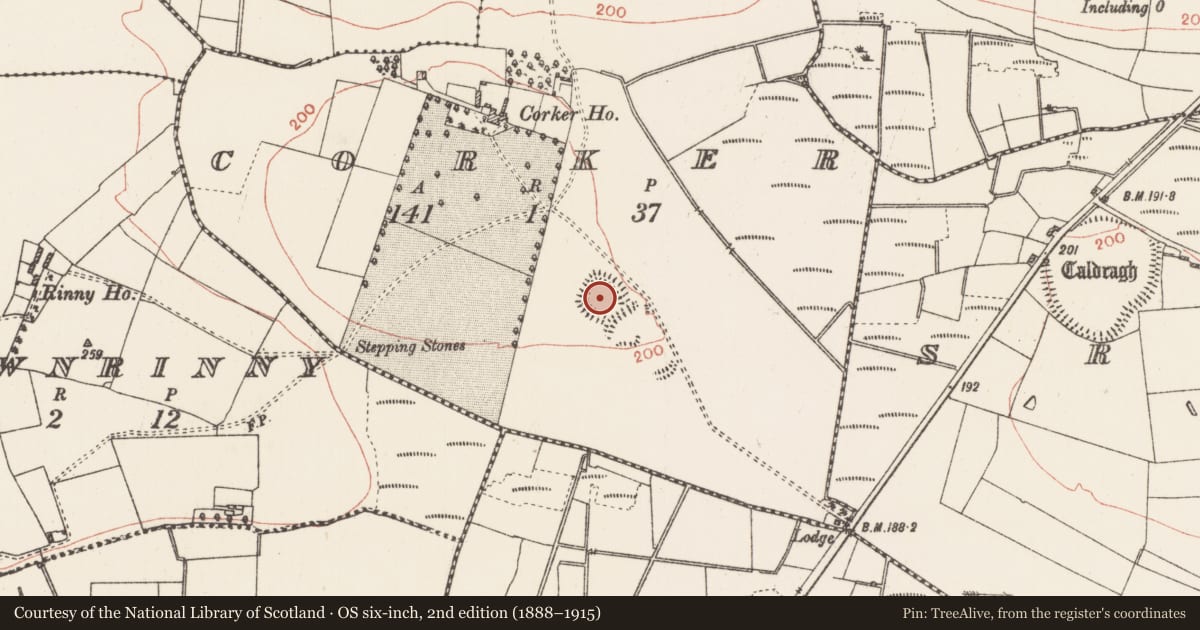 Ordnance Survey six-inch map, 2nd edition (1888–1915) covering the location of Enclosure, Corker, County Roscommon, with a pin at the register's coordinates