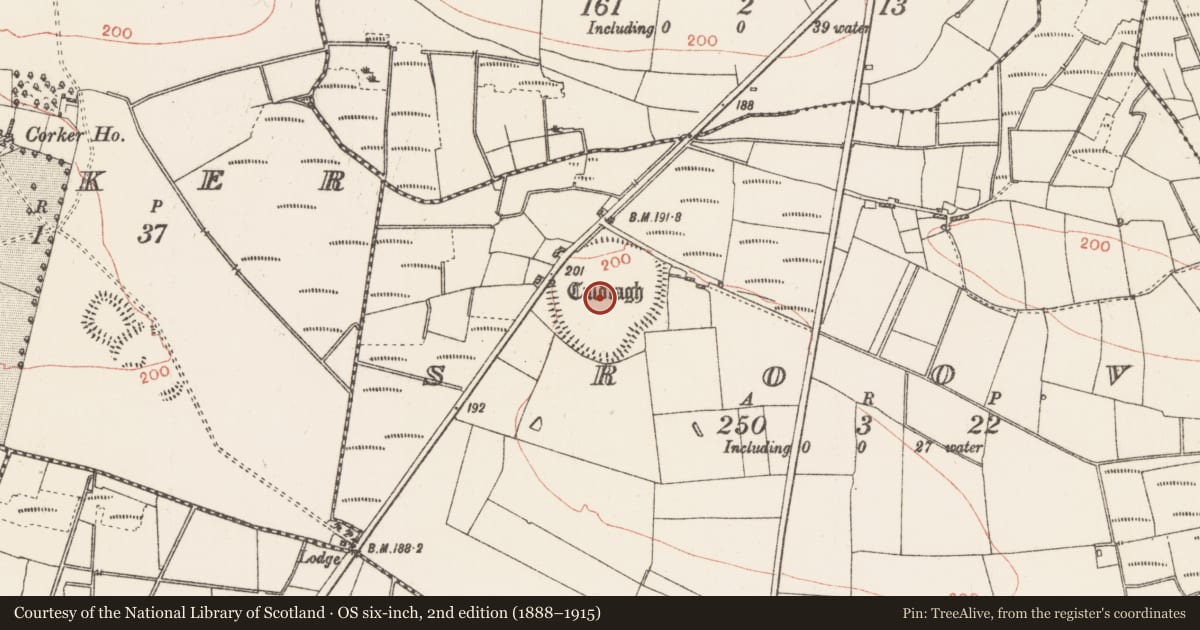 Ordnance Survey six-inch map, 2nd edition (1888–1915) covering the location of Enclosure - large enclosure, Sroove, County Roscommon, with a pin at the register's coordinates