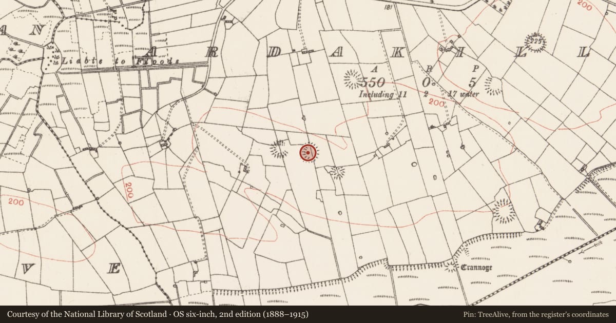 Ordnance Survey six-inch map, 2nd edition (1888–1915) covering the location of Ringfort - rath, Ardakillin, County Roscommon, with a pin at the register's coordinates