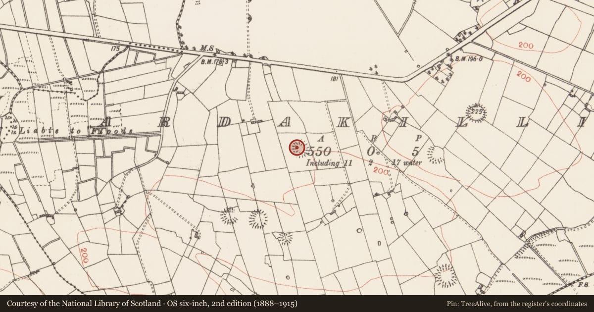 Ordnance Survey six-inch map, 2nd edition (1888–1915) covering the location of Ringfort - rath, Ardakillin, County Roscommon, with a pin at the register's coordinates