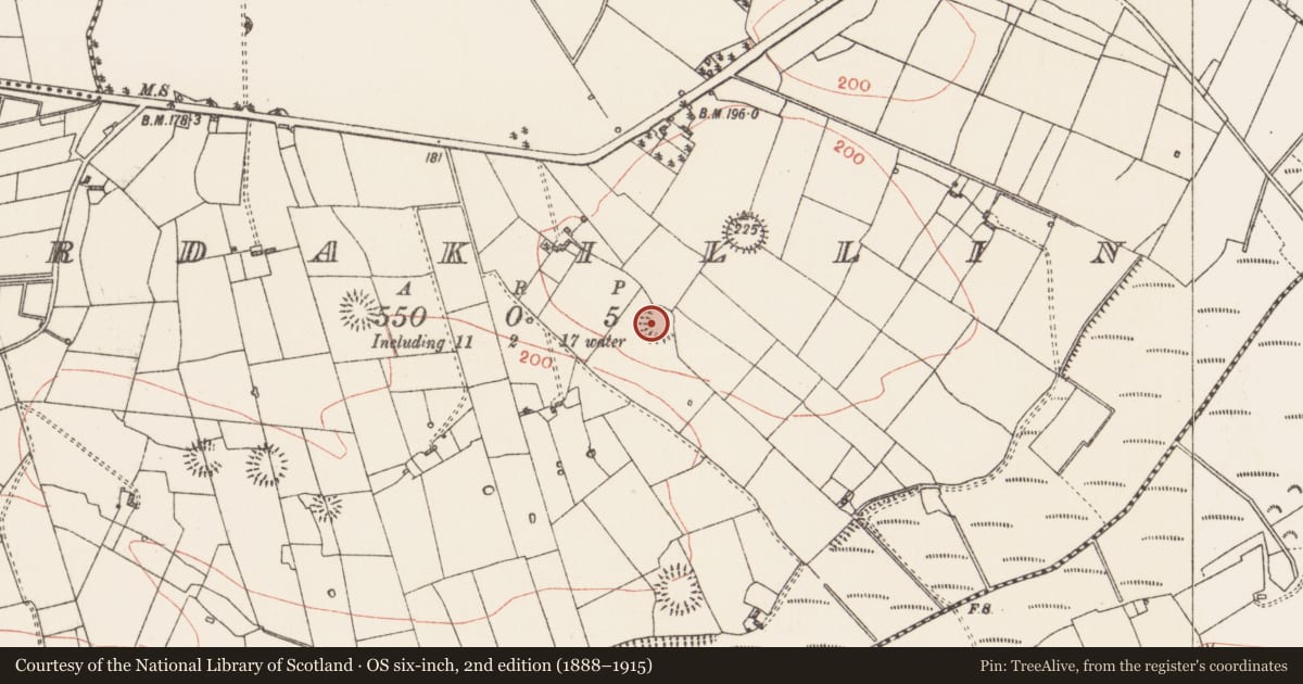 Ordnance Survey six-inch map, 2nd edition (1888–1915) covering the location of Ringfort - rath, Ardakillin, County Roscommon, with a pin at the register's coordinates
