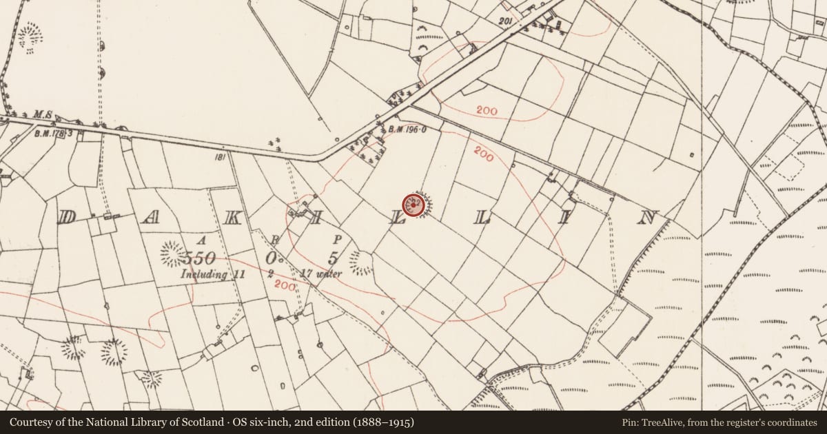 Ordnance Survey six-inch map, 2nd edition (1888–1915) covering the location of Ringfort - rath, Ardakillin, County Roscommon, with a pin at the register's coordinates