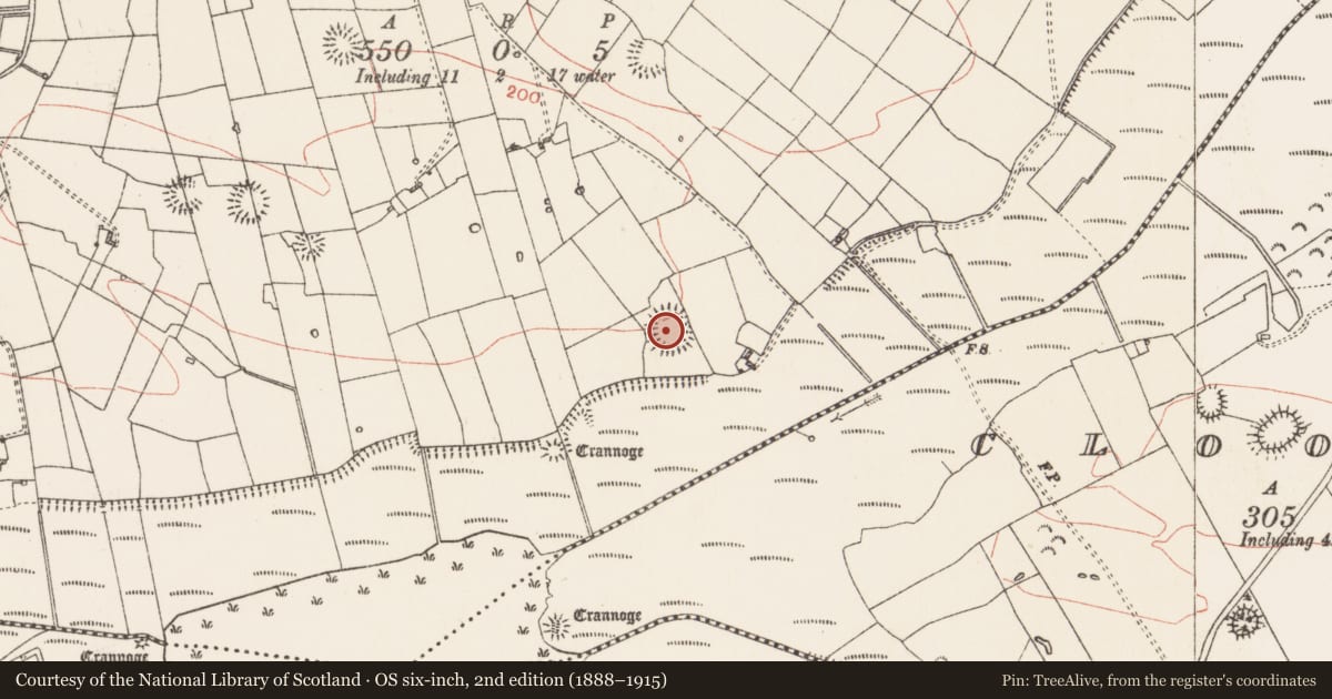 Ordnance Survey six-inch map, 2nd edition (1888–1915) covering the location of Ringfort - rath, Ardakillin, County Roscommon, with a pin at the register's coordinates