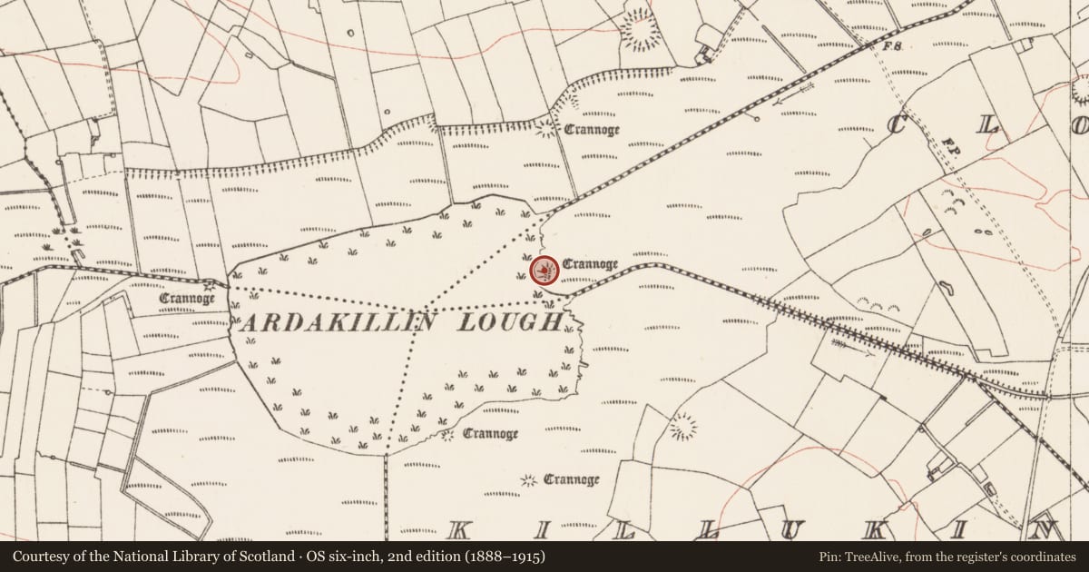 Ordnance Survey six-inch map, 2nd edition (1888–1915) covering the location of Crannog, Cloonrane, County Roscommon, with a pin at the register's coordinates