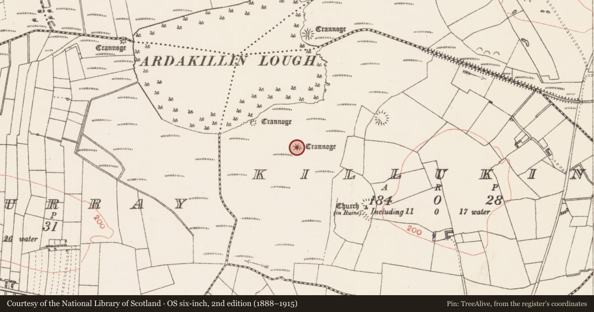 Ordnance Survey six-inch map, 2nd edition (1888–1915) covering the location of Crannog, Killukin, County Roscommon, with a pin at the register's coordinates