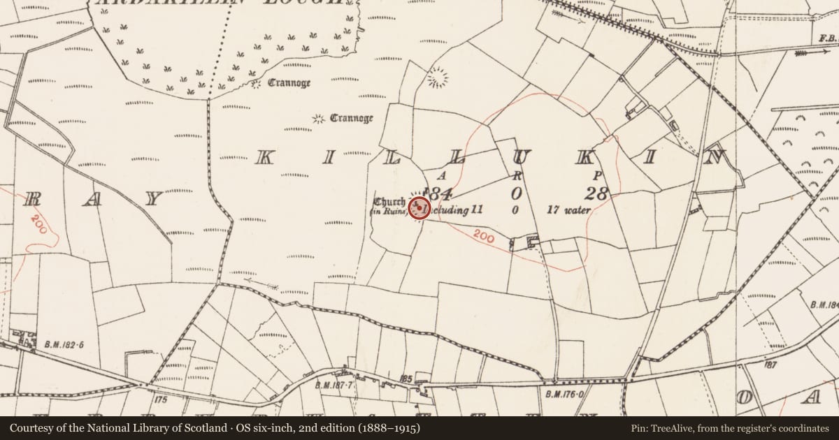 Ordnance Survey six-inch map, 2nd edition (1888–1915) covering the location of Enclosure, Killukin, County Roscommon, with a pin at the register's coordinates