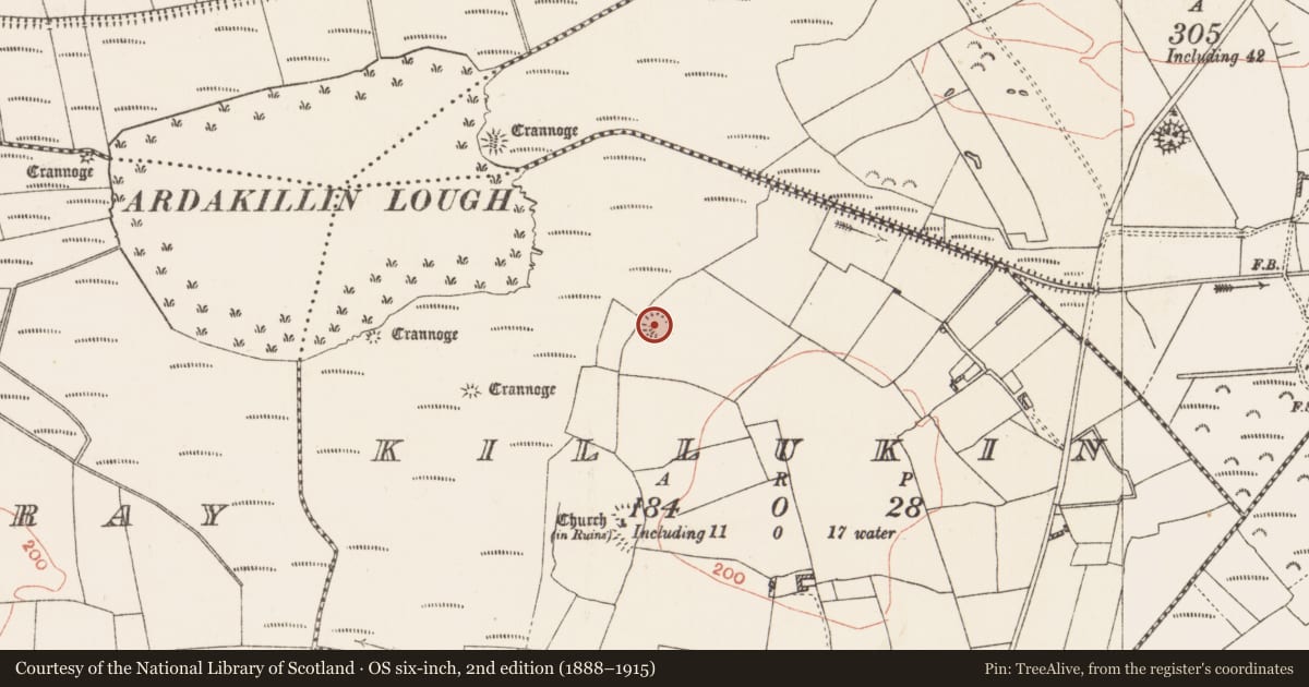 Ordnance Survey six-inch map, 2nd edition (1888–1915) covering the location of Ringfort - rath, Killukin, County Roscommon, with a pin at the register's coordinates