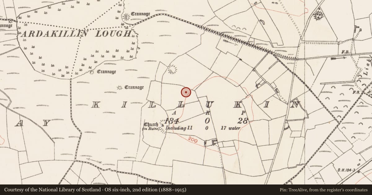 Ordnance Survey six-inch map, 2nd edition (1888–1915) covering the location of Mound, Killukin, County Roscommon, with a pin at the register's coordinates