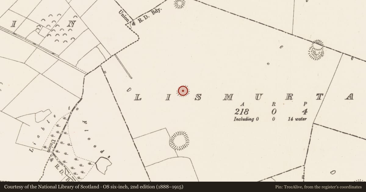 Ordnance Survey six-inch map, 2nd edition (1888–1915) covering the location of Ringfort - rath, Lismurtagh, County Roscommon, with a pin at the register's coordinates
