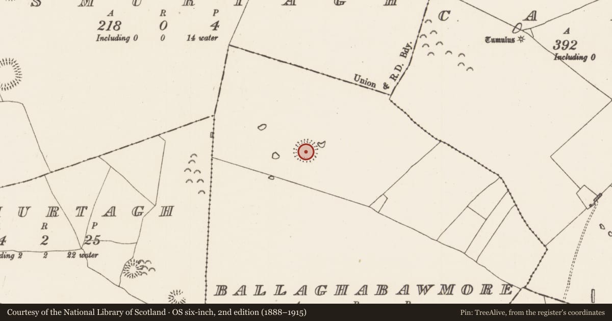 Ordnance Survey six-inch map, 2nd edition (1888–1915) covering the location of Ringfort - rath, Ballaghabawmore, County Roscommon, with a pin at the register's coordinates