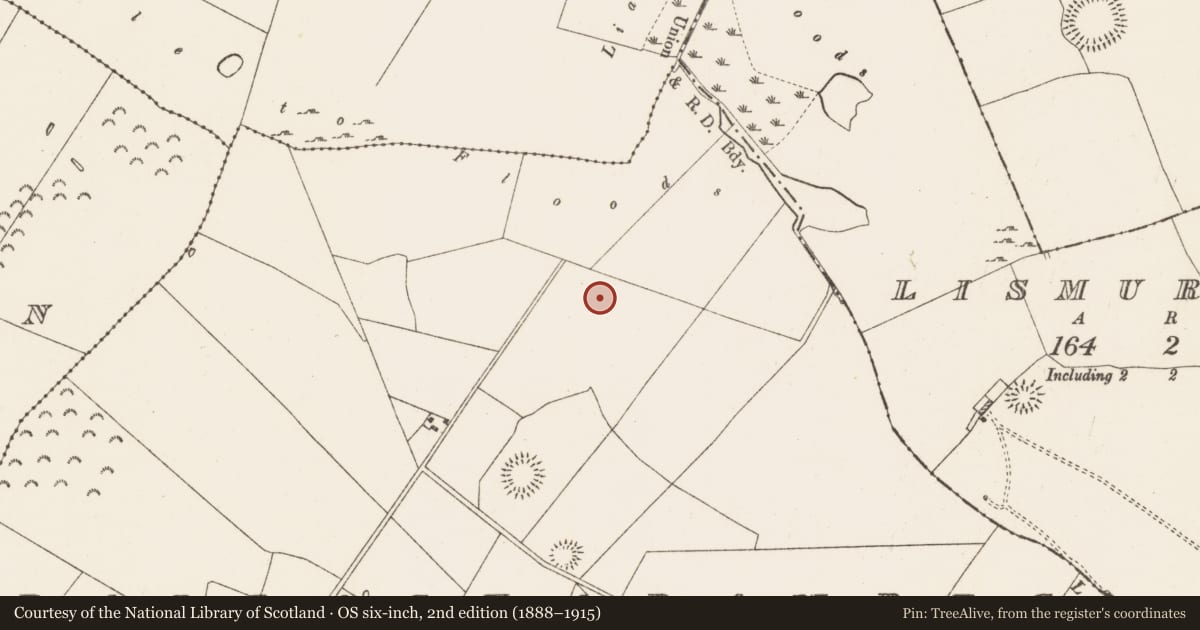 Ordnance Survey six-inch map, 2nd edition (1888–1915) covering the location of Enclosure, Ballaghabawbeg, County Roscommon, with a pin at the register's coordinates