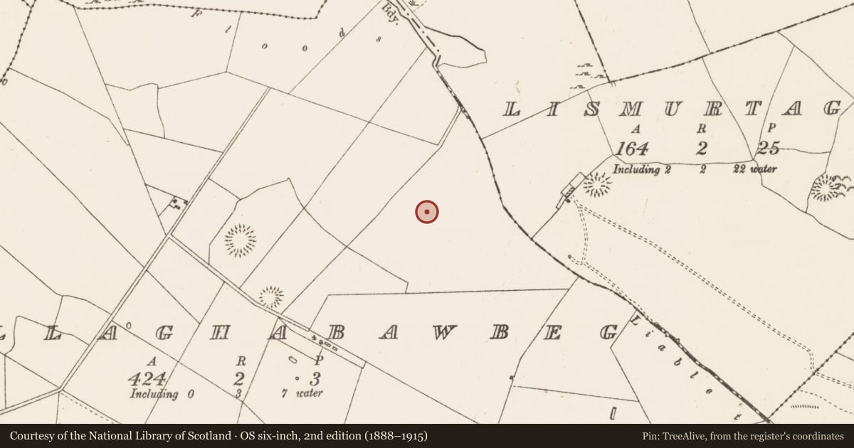 Ordnance Survey six-inch map, 2nd edition (1888–1915) covering the location of Pitfield, Ballaghabawbeg, County Roscommon, with a pin at the register's coordinates