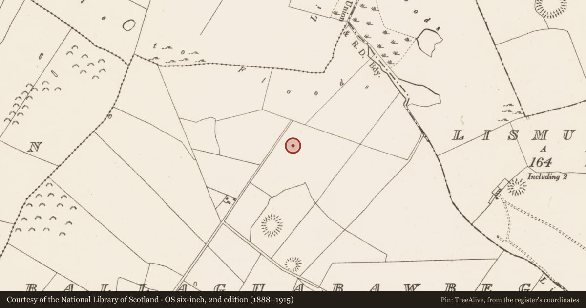 Ordnance Survey six-inch map, 2nd edition (1888–1915) covering the location of House - indeterminate date, Ballaghabawbeg, County Roscommon, with a pin at the register's coordinates