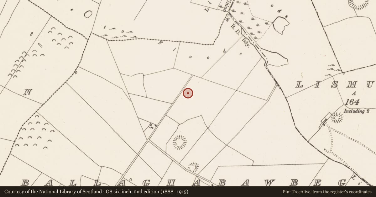 Ordnance Survey six-inch map, 2nd edition (1888–1915) covering the location of House - indeterminate date, Ballaghabawbeg, County Roscommon, with a pin at the register's coordinates