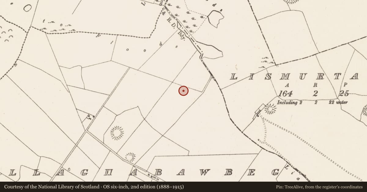 Ordnance Survey six-inch map, 2nd edition (1888–1915) covering the location of Ringfort - rath, Ballaghabawbeg, County Roscommon, with a pin at the register's coordinates